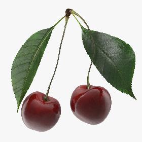 3D Cherry Collection model